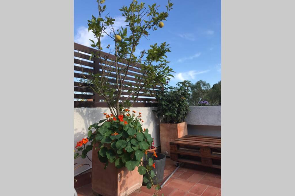 滨海托萨Casita Blanca Con Fibra Optica Y Piscina Cominutaria别墅 外观 照片
